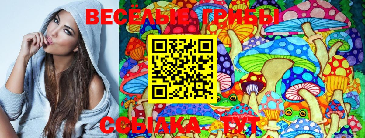 Кудымкар  Галлюциногенные грибы Cubensis  Вход с VPN  купить наркотики сайты  Галлюциногенные грибы MAGIC MUSHROOMS 