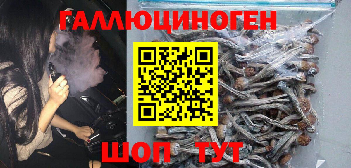 Псилоцибиновые грибы Psilocybe Кудымкар